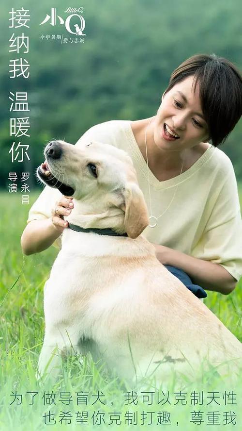 加州州立大学北岭分校成绩单